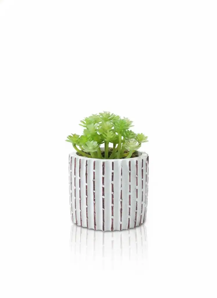 [WT4362] -  ARTIFICIAL PLANTS