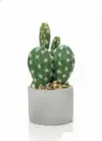 WT5319 - ARTIFICIAL PLANTS- TALL CACTUS