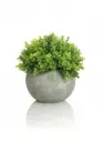 WT5320 - ARTIFICIAL PLANTS- SHRUB