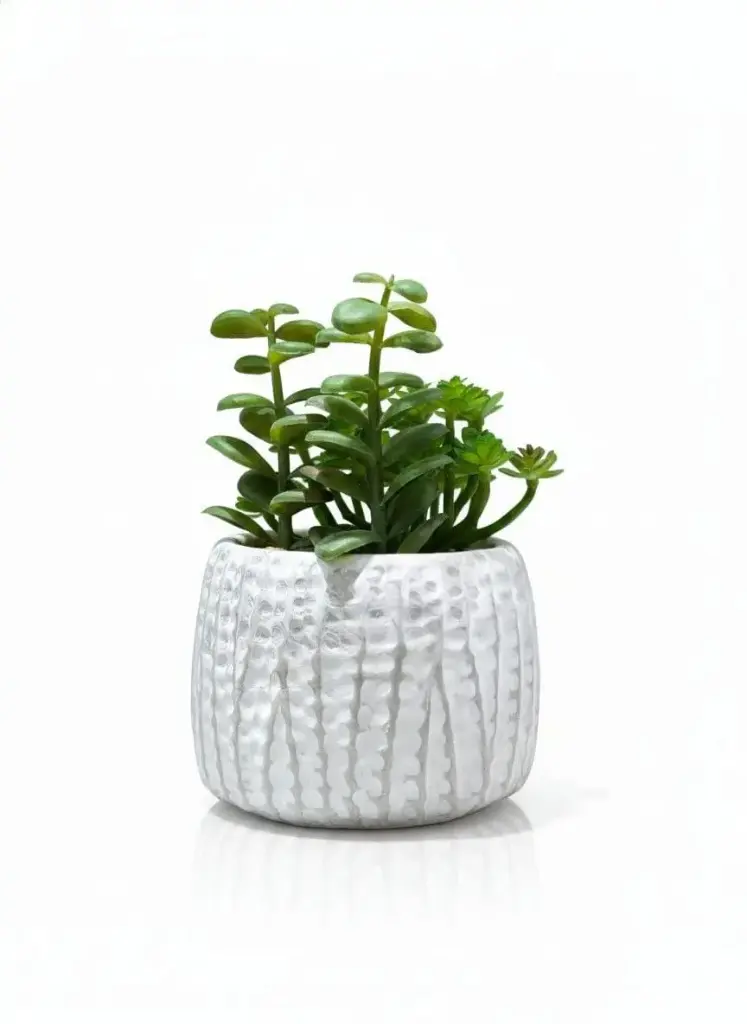 WT5322 - ARTIFICIAL PLANTS- PALM LEAF PLANT
