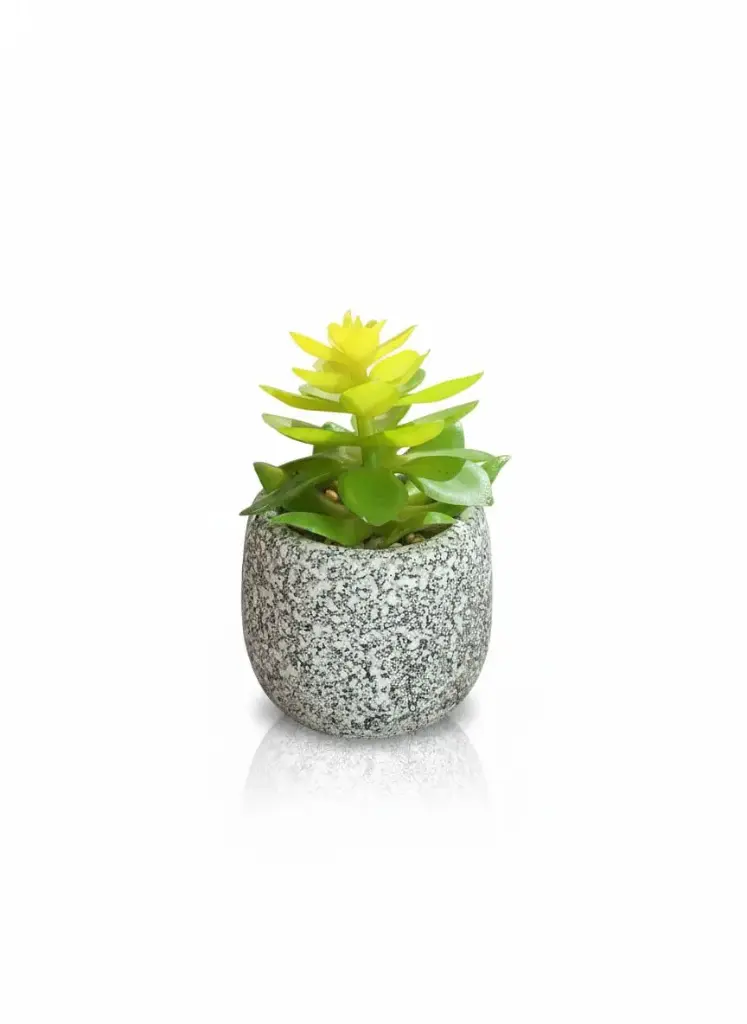 WT5329 - ARTIFICIAL PLANTS- FERN PLANT SMALL STONE POT